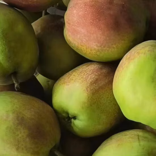 Китайская свежая желтая груша Ya, экспорт 2023 г.